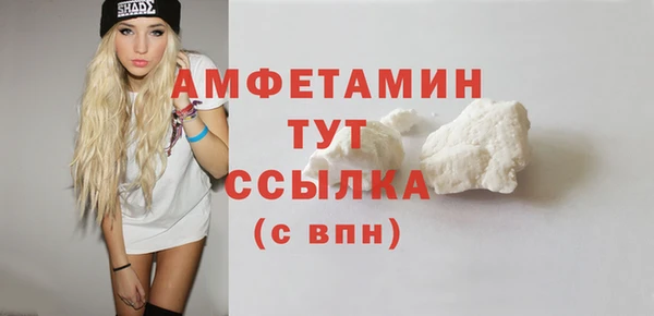 гидра Аркадак
