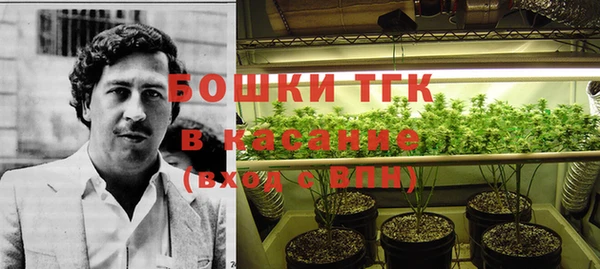 гидра Аркадак