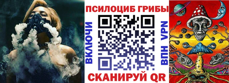 купить наркотик  Мглин  Галлюциногенные грибы Psilocybe 