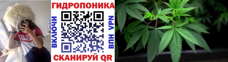 продажа наркотиков  Мглин  Канабис тримм 